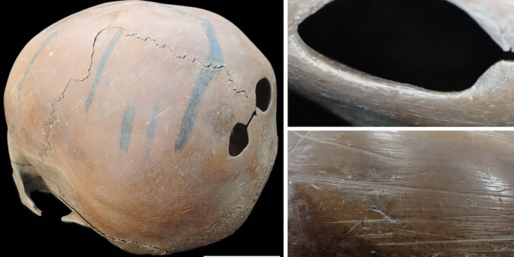 uso huesos neolitico china