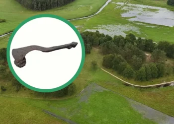 Herramienta quirúrgica celta ha sido hallada en Polonia.