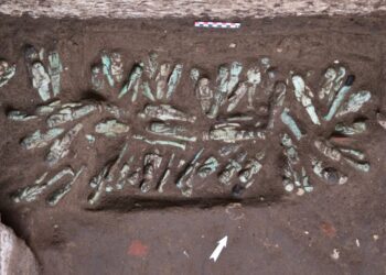 Un faraón oculto en la tumba de otro faraón es analizado.