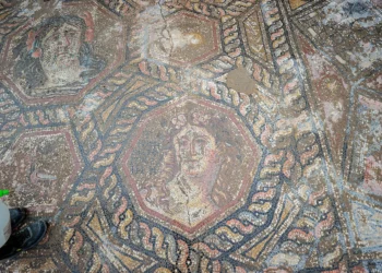 Un mosaico del siglo III ha sido descubierto en Turquía.