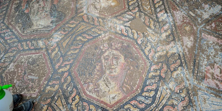 Un mosaico del siglo III ha sido descubierto en Turquía.