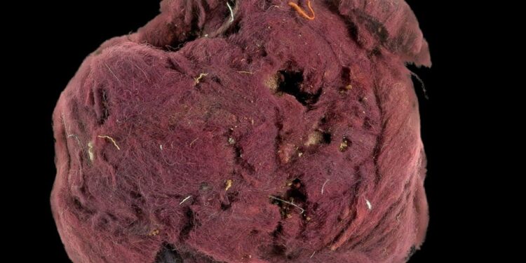 Descubren una industria de imitación del púrpura Real de Murex.