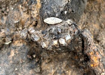 Encuentran 22 piezas de oro en un entierro romano en Francia.
