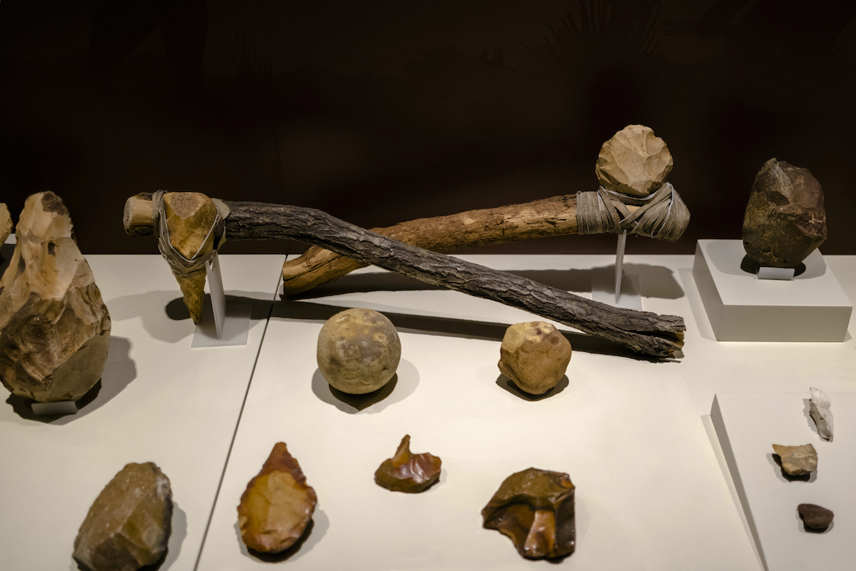 las herramientas evolucionaron durante el paleolitico dando paso a sociedades mas elaboradas