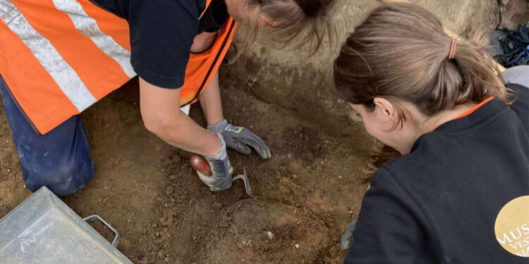 Dos lanzas de hierro con adornos de oro son las más antiguas de territorio danés.