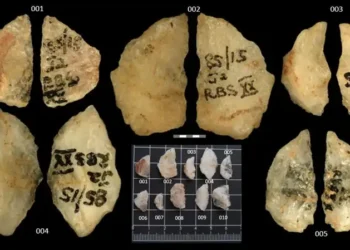 Descubren en Sudáfrica las flechas envenenadas más antiguas de la humanidad.