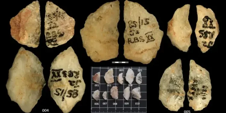 Descubren en Sudáfrica las flechas envenenadas más antiguas de la humanidad.