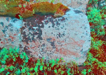 Descubren en Noruega pinturas rupestres que muestran peces y figuras geométricas.