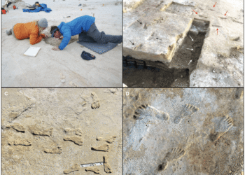 Huellas humanas en White Sands son de hace más de 20 mil años.