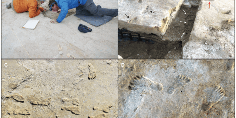 Huellas humanas en White Sands son de hace más de 20 mil años.