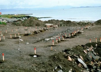 Los vikingos pudieron tener el origen de su fuerza naval en la época romana.