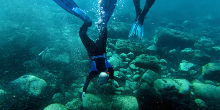 Descubren gran cantidad de barcos naufragados bajo la costa de Libia,