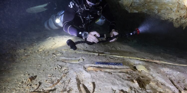 En una cueva submarina en México descubren un entierro de hace 8 mil años.