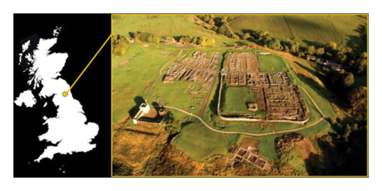 Descubren que la tinta utilizada en Vindolanda era local.