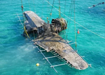 Un caza japonés de la Segunda Guerra Mundial ha sido rescatado exitosamente.