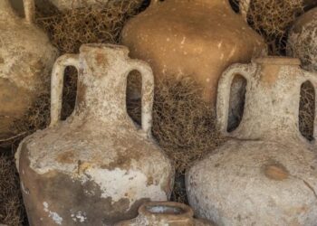 Una tumba romana posee el vino más antiguo del mundo.