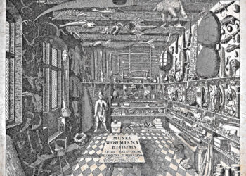 Grabado de gabinete de curiosidades renacentista (Wunderkammer) mostrando interior detallado con esqueletos, instrumentos científicos, artefactos naturales, esculturas y arte en estanterías