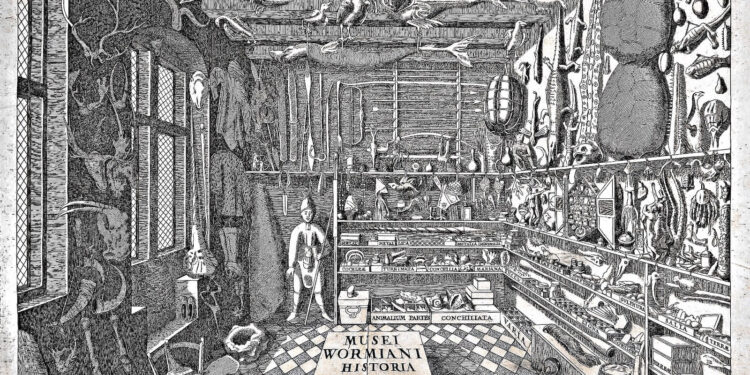 Grabado de gabinete de curiosidades renacentista (Wunderkammer) mostrando interior detallado con esqueletos, instrumentos científicos, artefactos naturales, esculturas y arte en estanterías