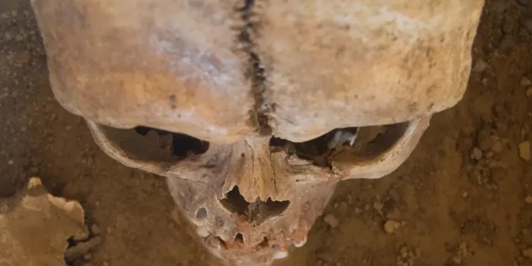 Un cementerio medieval es descubierto en Gloucester.