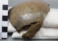 Analizarán con nuevos parámetros los huesos de Dyrholm.