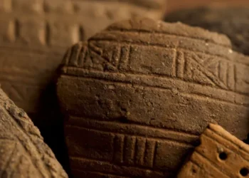 Encuentran evidencia del alcohol más antiguo de Polonia.