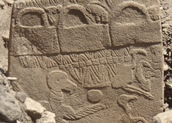 Encuentran similitudes entre Gobkli Tepe y la cultura Trypilia.