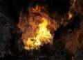 Los homínidos utilizaron el fuego hace 1.8 millones de años.
