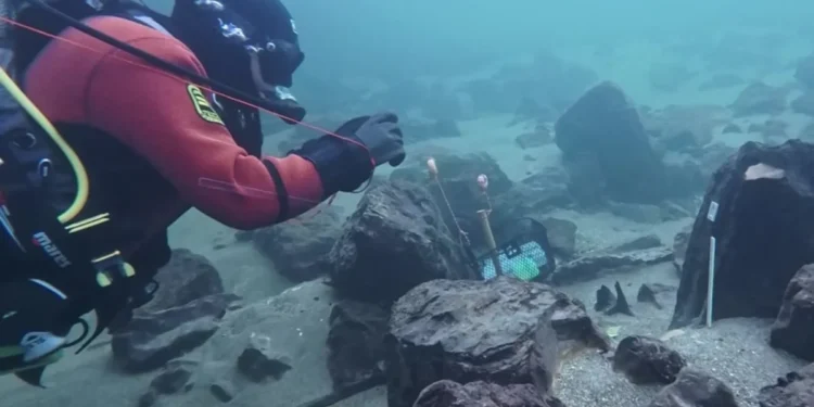 Un puente romano sumergido en río suizo.