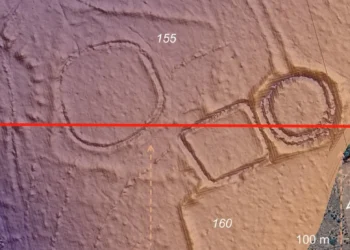 Kilómetros de construcción en la Amazonia son descubiertos gracias a Lidar.