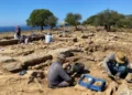 Una vasija con cincuenta monedas de oro persa ha sido hallada en Turquía.