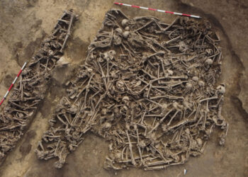 Descubren huesos fracturados en la pelvis de una antigua batalla romana en Viena.