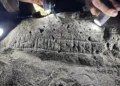 Una runa es hallada en Islas Feroe y da cuenta de la relación del sitio con el cristianismo.