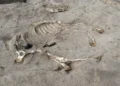 Descubren el entierro de un caballo en Egipto de hace 3 mil años.