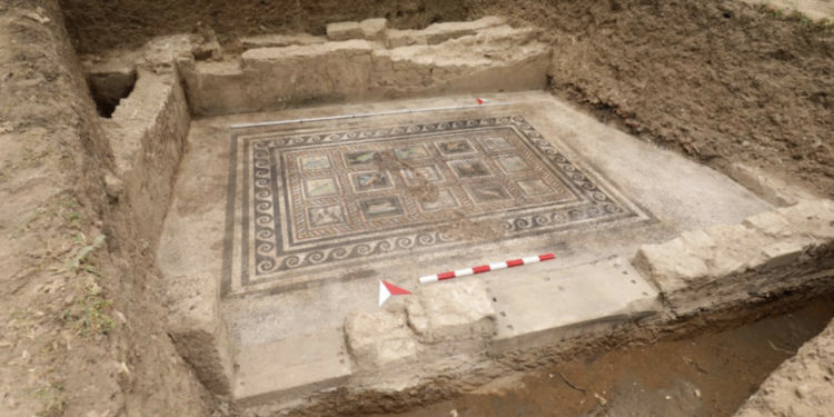 Los nombres y figuras de un perro y gato son descubiertos en una domus romanas.
