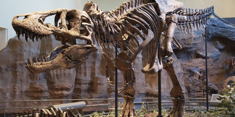 El rastro de un Tiranosaurio rex descubierto en Dakota del Norte.